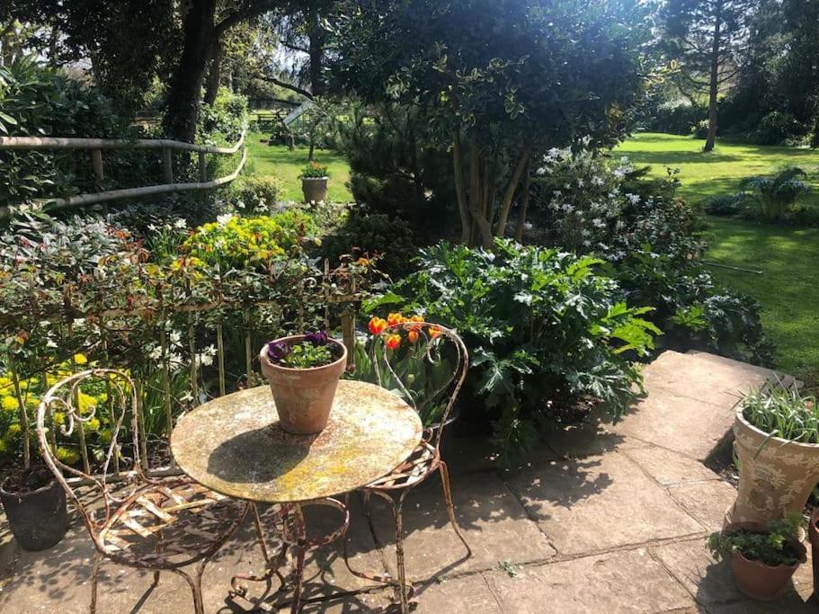 Escape To Ash House 18Th Century Manor In Somerset Martock Exteriör bild