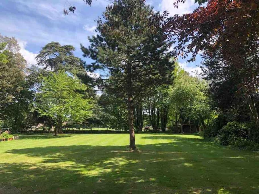 Escape To Ash House 18Th Century Manor In Somerset Martock Exteriör bild