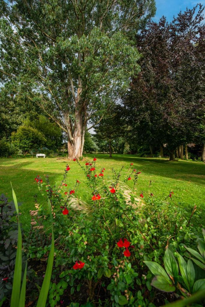 Escape To Ash House 18Th Century Manor In Somerset Martock Exteriör bild