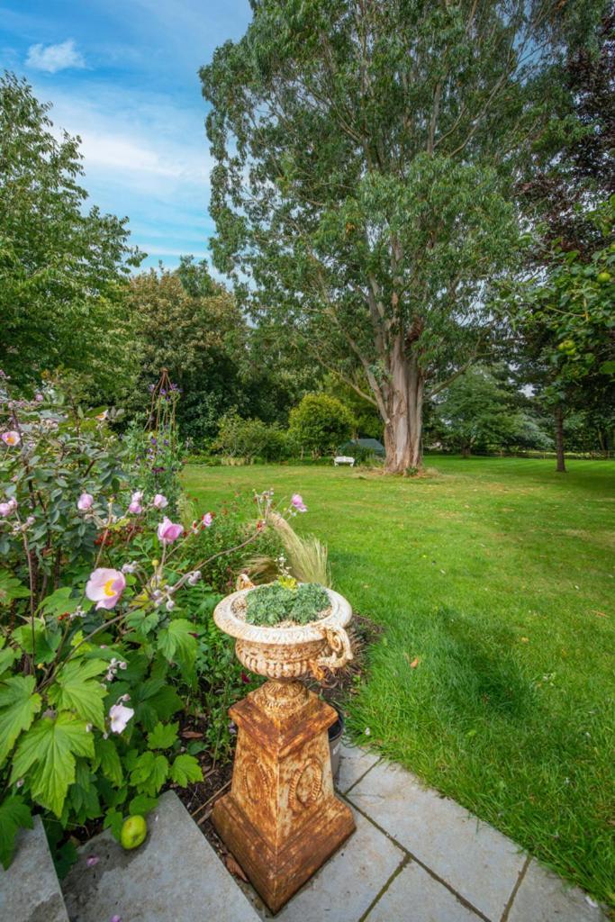 Escape To Ash House 18Th Century Manor In Somerset Martock Exteriör bild
