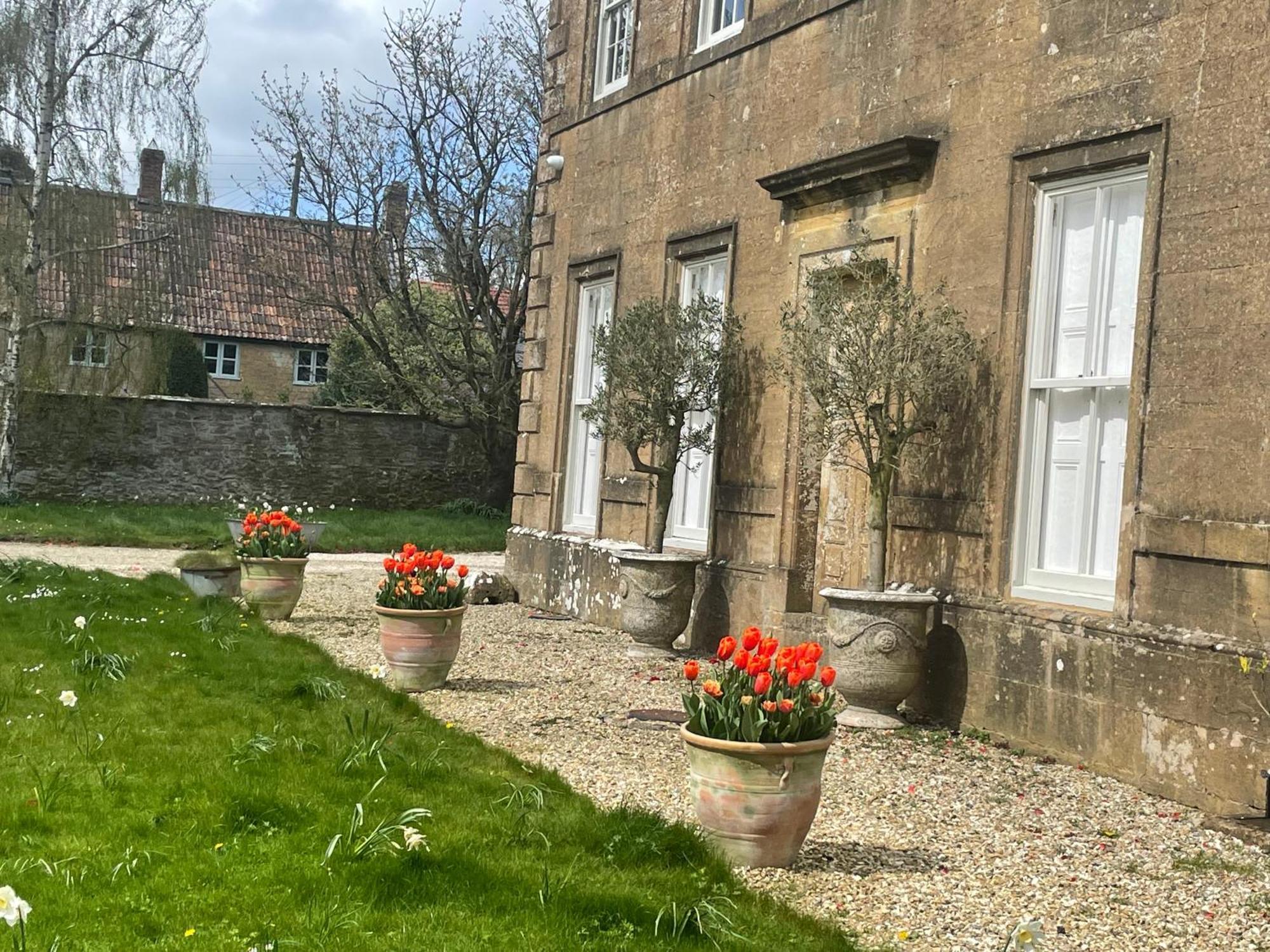 Escape To Ash House 18Th Century Manor In Somerset Martock Exteriör bild
